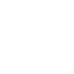 Custom Development - ld icon 11
