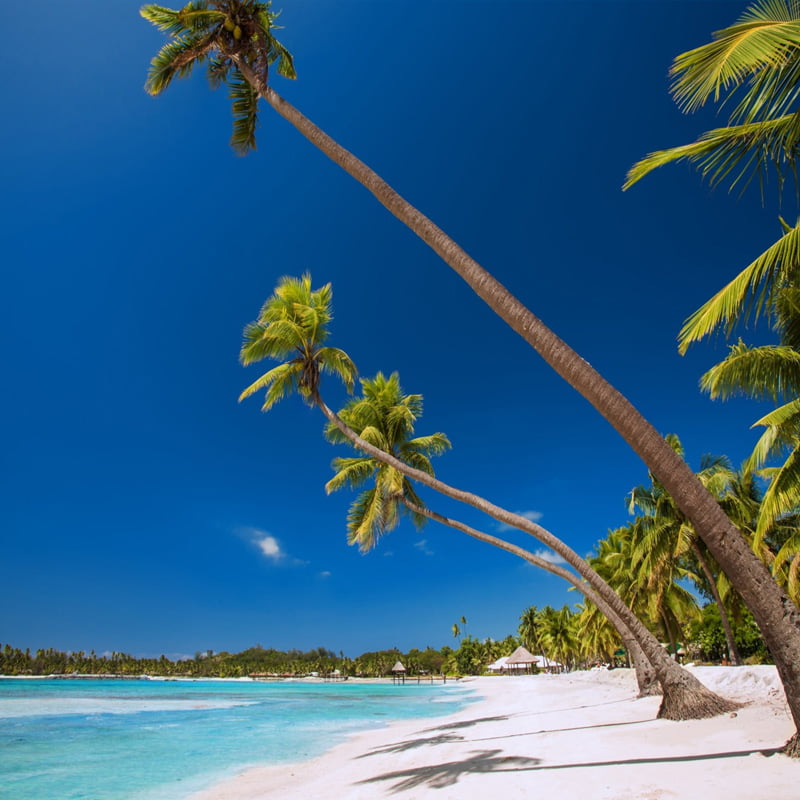 Freedom Destinations - Freedom Destinations