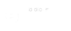 Google PPC Management