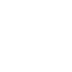 Shopify Web Design - ld icon 154 white
