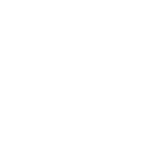 Landing Pages & CRO - ld icon 155 white