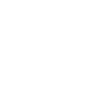 Local SEO - ld icon 167 white