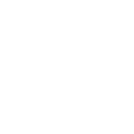 Custom Development - ld icon 191 white