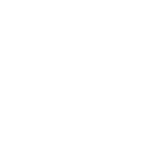 Custom Development - ld icon 193 white