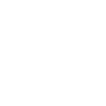 PPC - ld icon 77 white