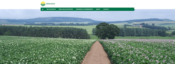 green website colour scheme