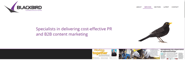Purple website colour scheme