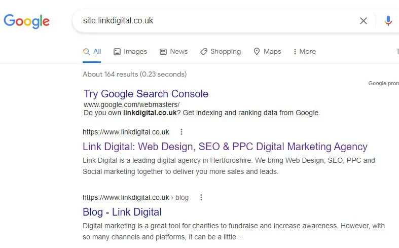 Website Domain Authority Hijacking - site search 1