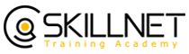 Skillnet - skillnet logo