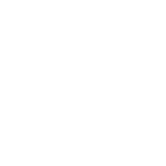 Programmatic & Display Ads - icon AI Optimisation white