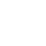 lead generation - icon lead white