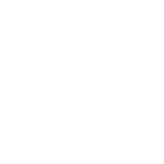 Ecommerce Growth - icon shopify white
