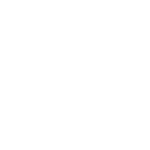 Ecommerce Growth - icon woocommerce white